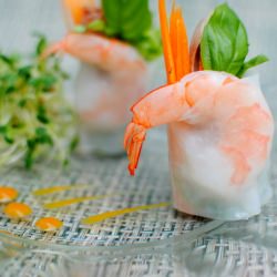 Savannah Spring Rolls