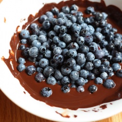 Chocolate Covered Blueberries