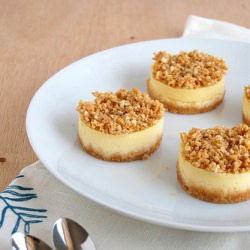 Mini Cheesecakes