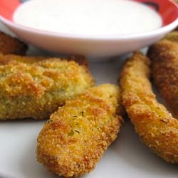 Texas Fried Pickle Spears