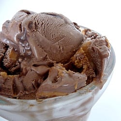 Chocolate-Peanut Butter Ice Cream