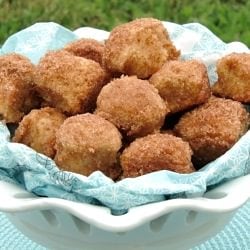 Baked Cinnamon Bites