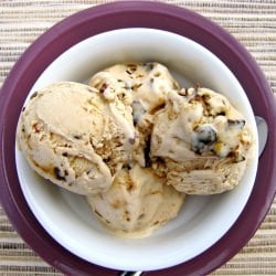 Brown Butter Candied Bacon Ice Cream