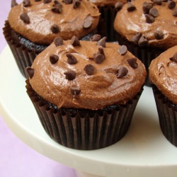 Ultimate Chocolate Cupcakes