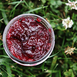 Wild Blackberry Jelly
