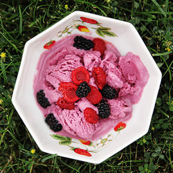 Wild Blackberry Frozen Yogurt