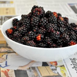 Presidio Berries