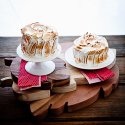 Smores Cakes