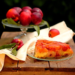 Cake with a Compote of Peaches