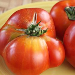 Heirloom Tomatoes