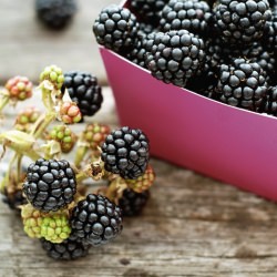 Bramble Crumble