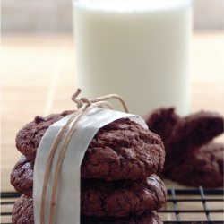 ChewySoft Chocolate Fudge Cookie