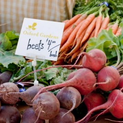 Beet It