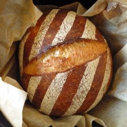 No Knead Beer Bread