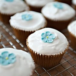 SImple Vanilla Cupcakes
