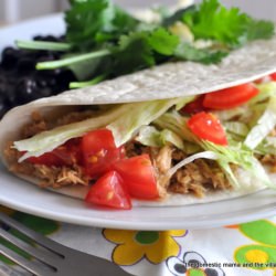 Perfect Shredded Chicken