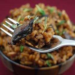 Risotto with Porcini Mushrooms