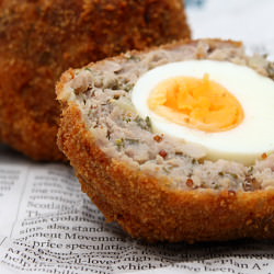 Scotch Eggs