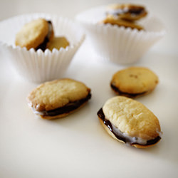 Chocolate Mint Sandwich Cookies