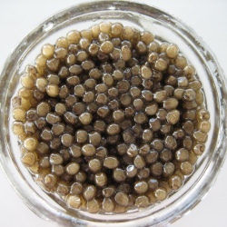 Beluga Caviar