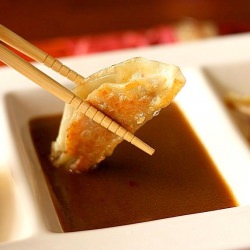 Peppery Salmon Gyoza