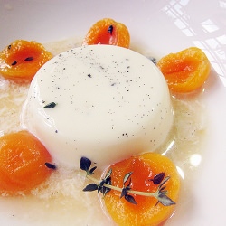 Vanilla Panna Cotta with Apricots