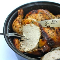 Lemon Oregano Roast Chicken