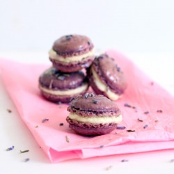 Lavender Macarons