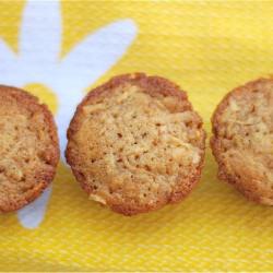 Apple Snack Muffins