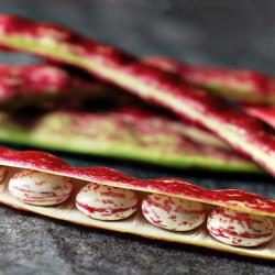 Beautiful Freaky Vegetables