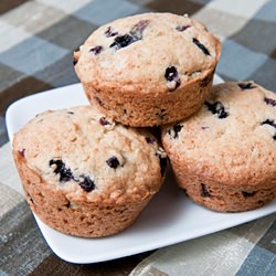 Wild Huckleberry Muffins