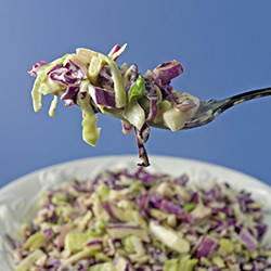 Cole Slaw w/ Creamy Mustard Dressing