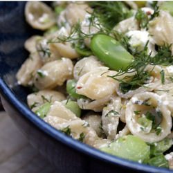 Orechiette Fava