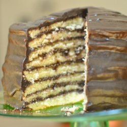 Eight Layered Chocololate Cake