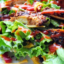 Grilled Ancho Chicken Taco Salad