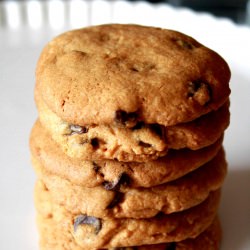 Chocolate Chip Cookie