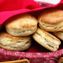 Buttermilk Biscuits