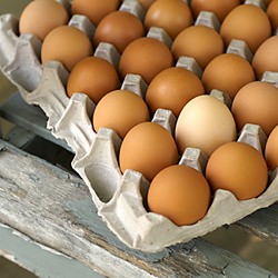 Hard-Boiled Eggs or Hard-Cooked Egg