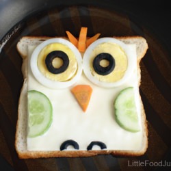 Owl Sandwich