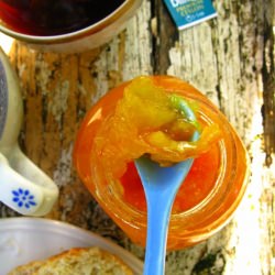 Orange Marmalade