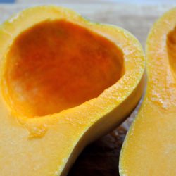 Butternut Squash Puree