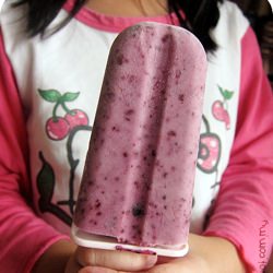 Blueberry Popsicle