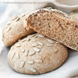 Whole Wheat Bread Roll
