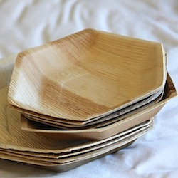 Palm Leaf Plates