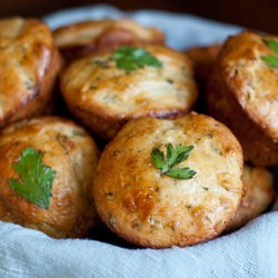 Herbed Dinner Rolls