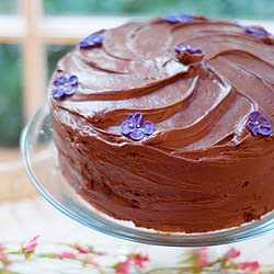 Chocolate-Chocolate Cake