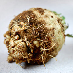 Celery Root