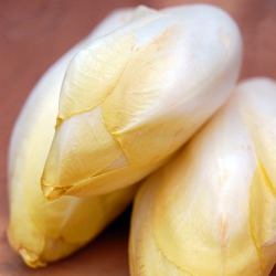 Endives au Jambon