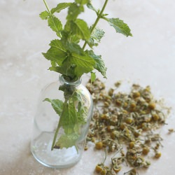 Remedios (a Guest Post)