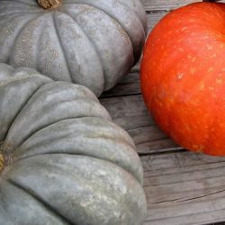 How to Prepare & Cook Winter Squash